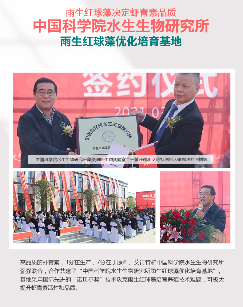 艾诗特3499拉斯维加斯
