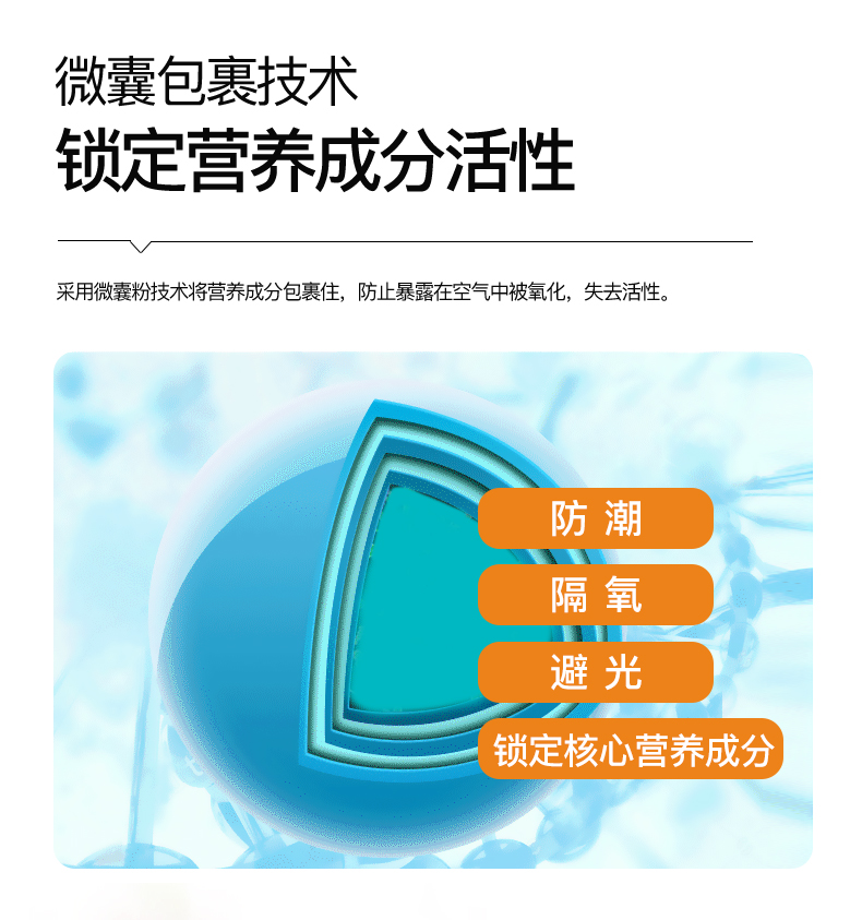 艾诗特3499拉斯维加斯