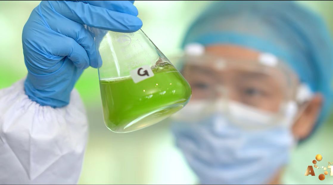 艾诗特3499拉斯维加斯 艾诗特3499拉斯维加斯