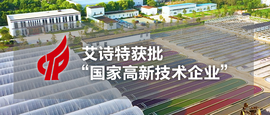 艾诗特3499拉斯维加斯 艾诗特3499拉斯维加斯