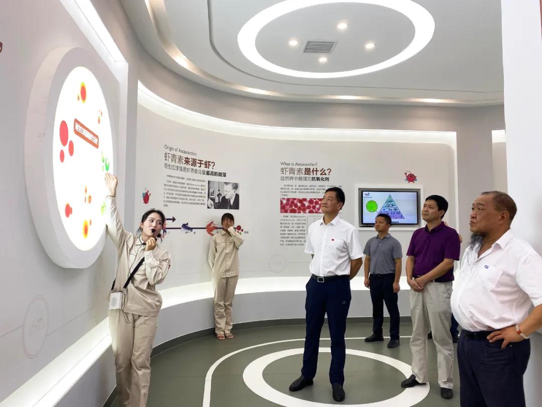 艾诗特3499拉斯维加斯