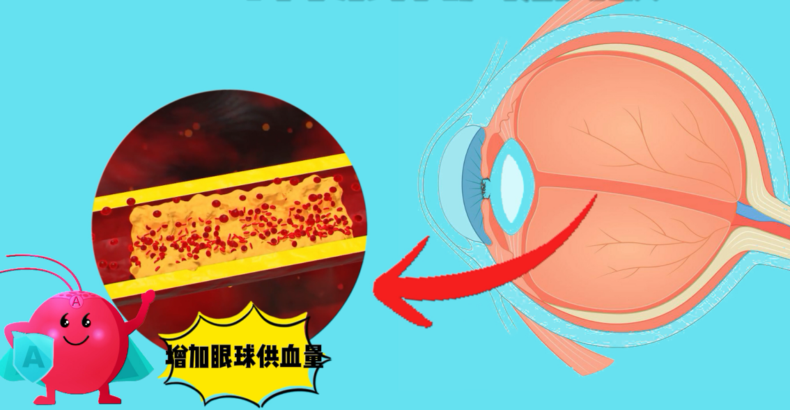 艾诗特3499拉斯维加斯