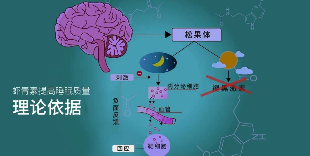 艾诗特3499拉斯维加斯