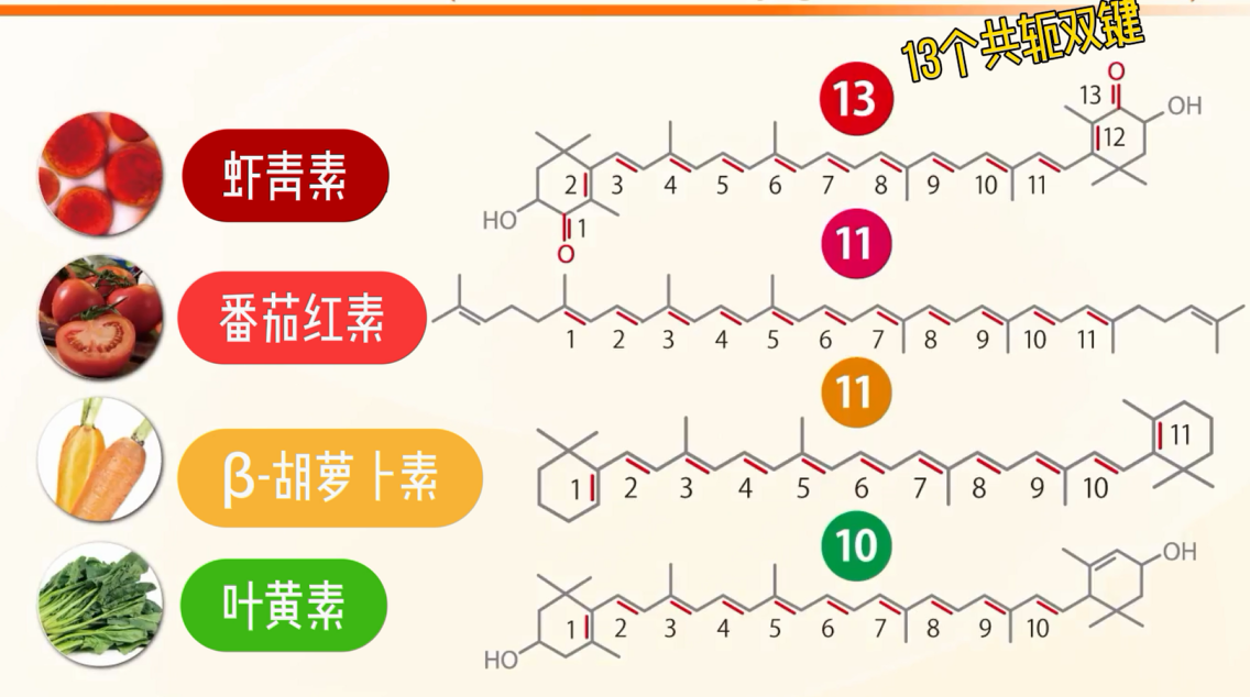 艾诗特3499拉斯维加斯 艾诗特3499拉斯维加斯