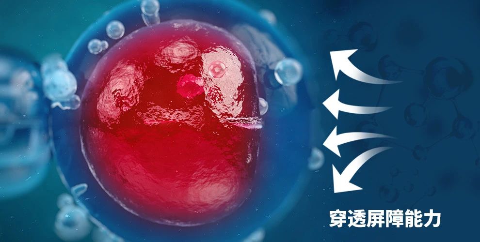 艾诗特3499拉斯维加斯 艾诗特3499拉斯维加斯