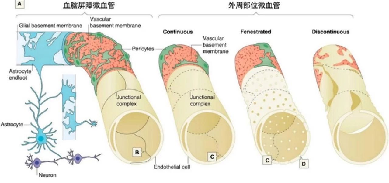 艾诗特3499拉斯维加斯
