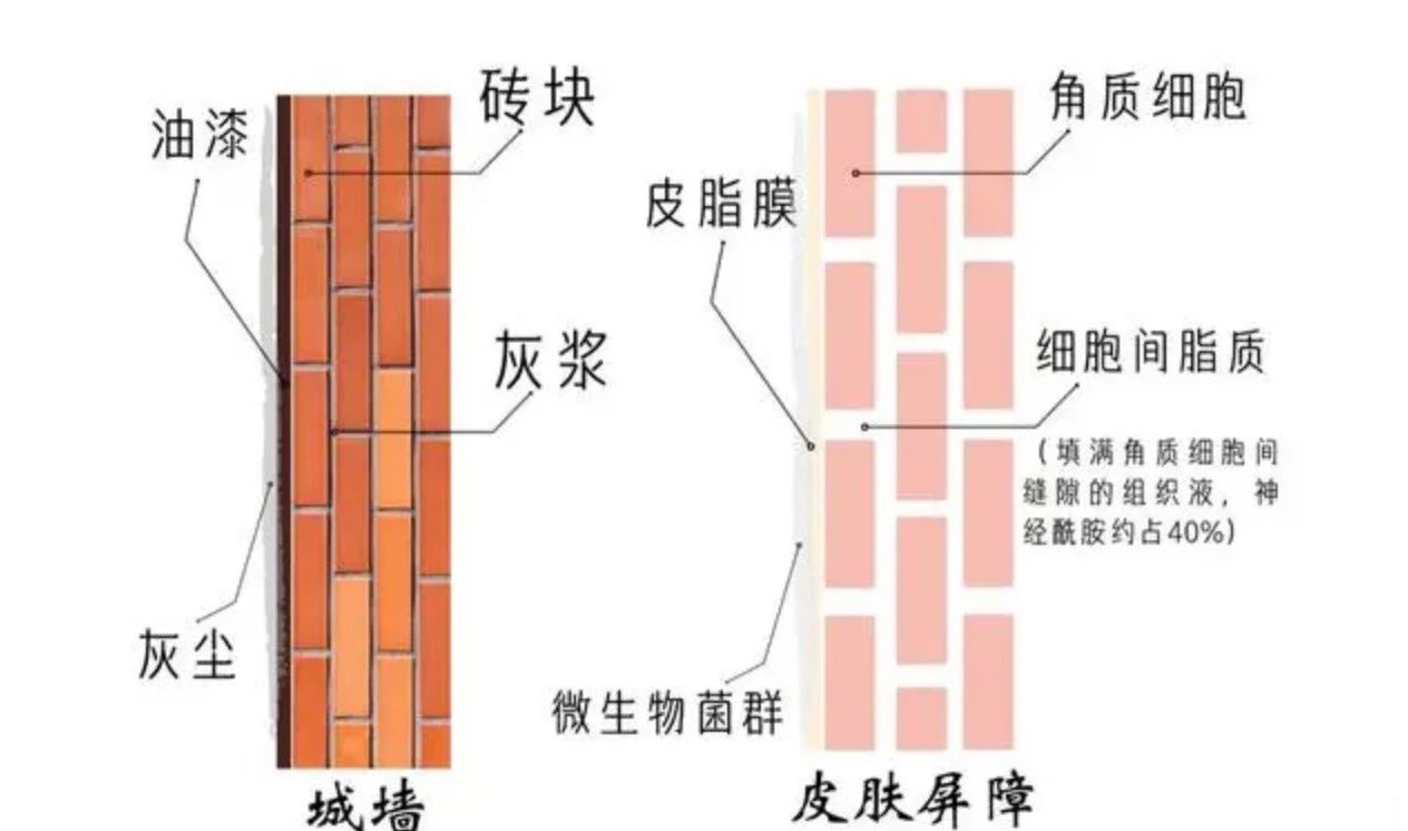 艾诗特3499拉斯维加斯