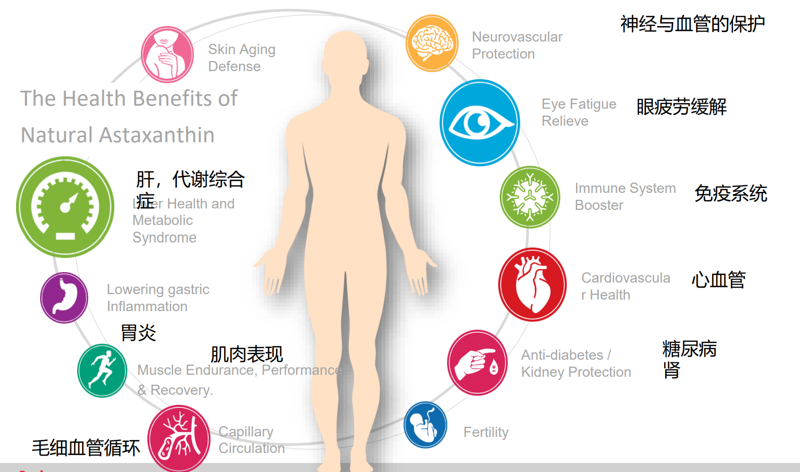 艾诗特3499拉斯维加斯