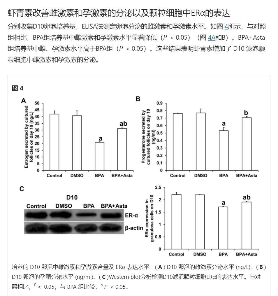 艾诗特3499拉斯维加斯