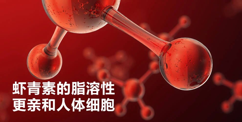 艾诗特3499拉斯维加斯