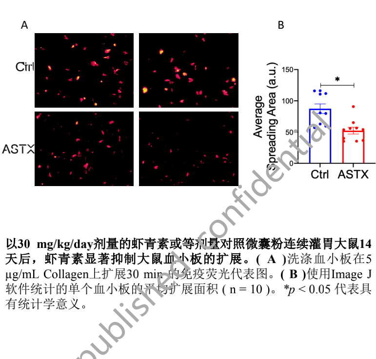 艾诗特3499拉斯维加斯