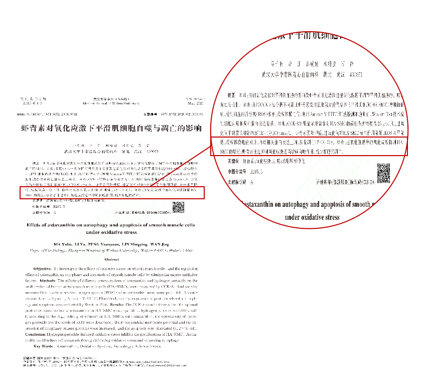 艾诗特3499拉斯维加斯