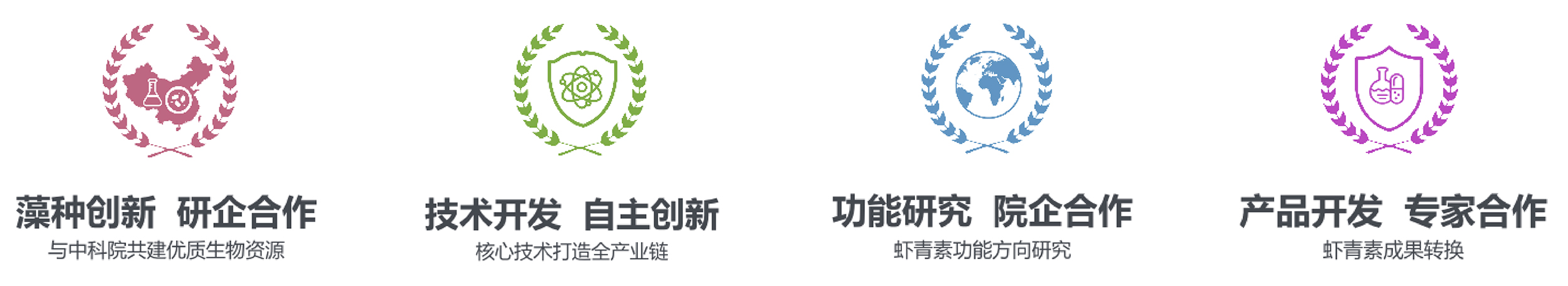 艾诗特3499拉斯维加斯