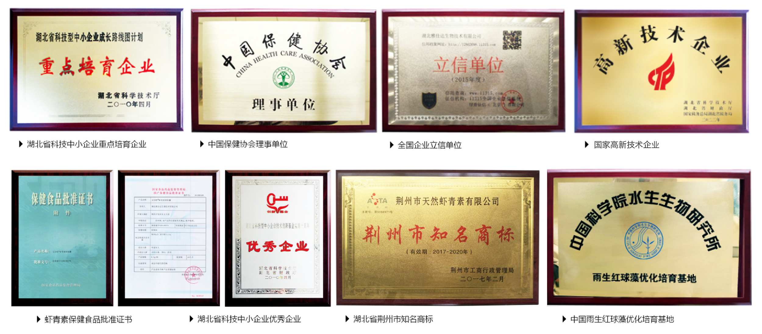 艾诗特3499拉斯维加斯