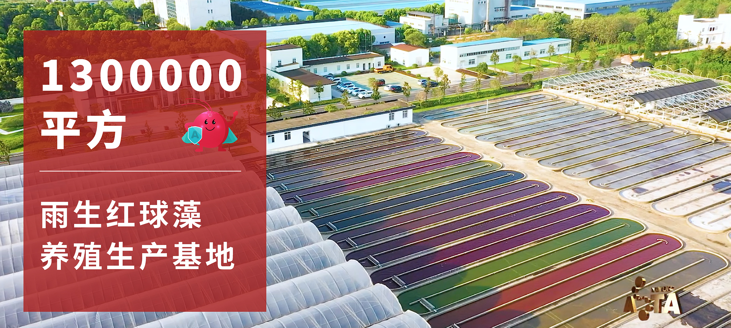 艾诗特3499拉斯维加斯