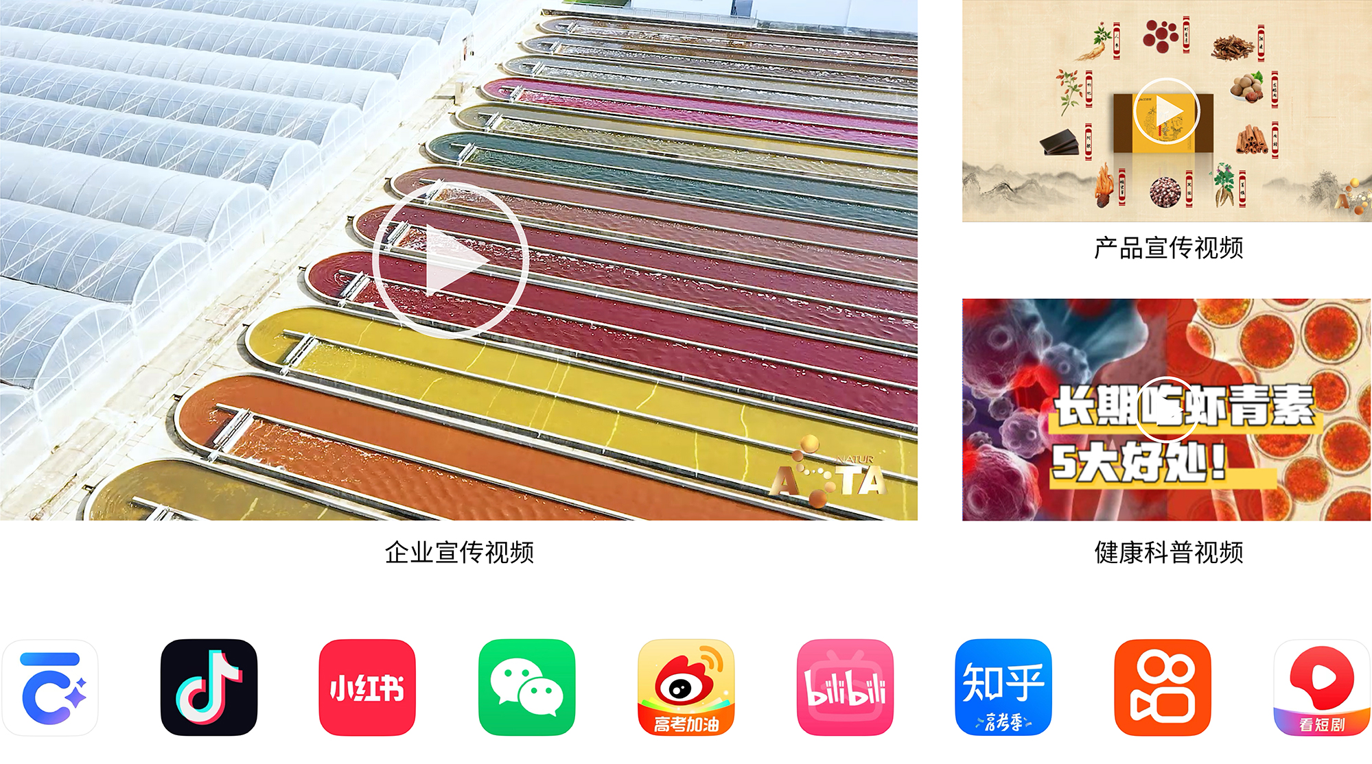 艾诗特3499拉斯维加斯