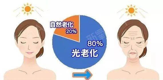 艾诗特3499拉斯维加斯