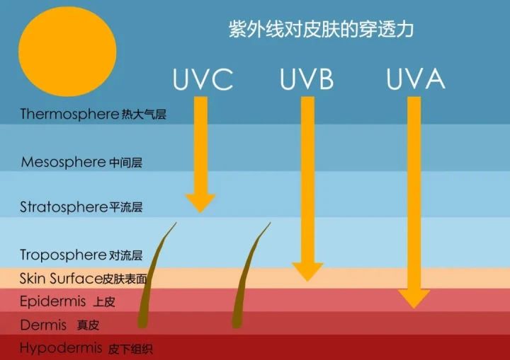 艾诗特3499拉斯维加斯