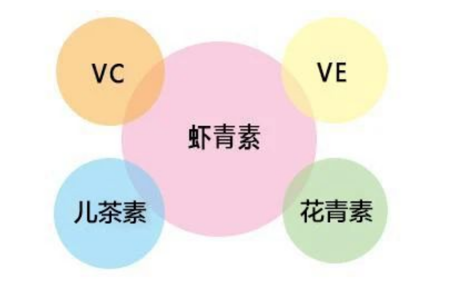 艾诗特3499拉斯维加斯 艾诗特3499拉斯维加斯
