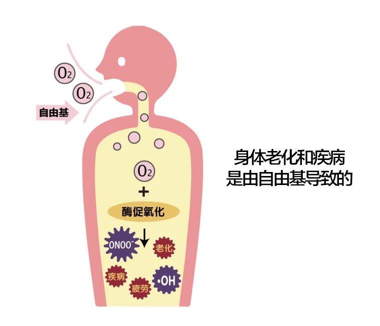 艾诗特3499拉斯维加斯 艾诗特3499拉斯维加斯