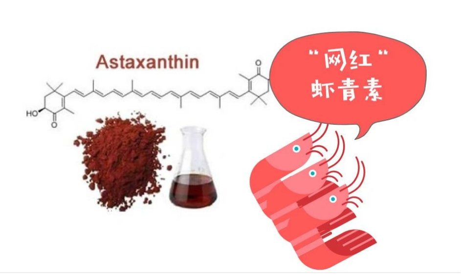 艾诗特3499拉斯维加斯