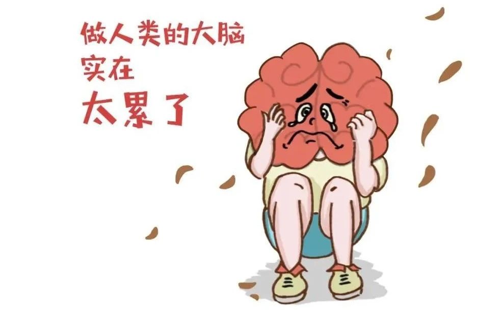 艾诗特3499拉斯维加斯