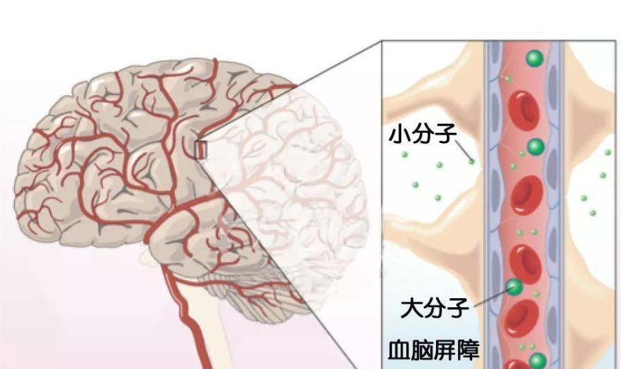 艾诗特3499拉斯维加斯