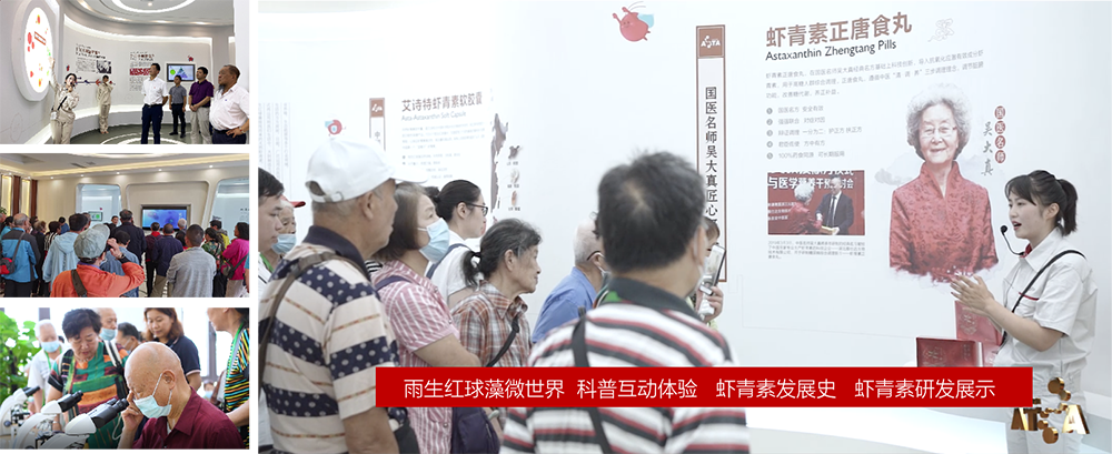 艾诗特3499拉斯维加斯 艾诗特3499拉斯维加斯