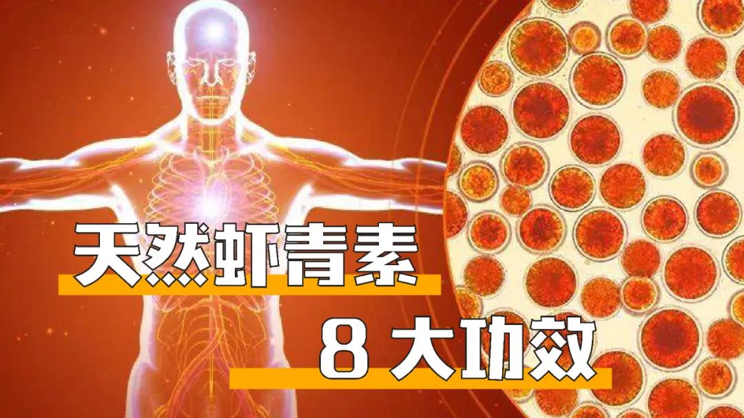 艾诗特3499拉斯维加斯 艾诗特3499拉斯维加斯