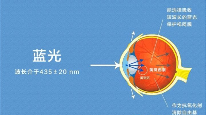 艾诗特3499拉斯维加斯 艾诗特3499拉斯维加斯