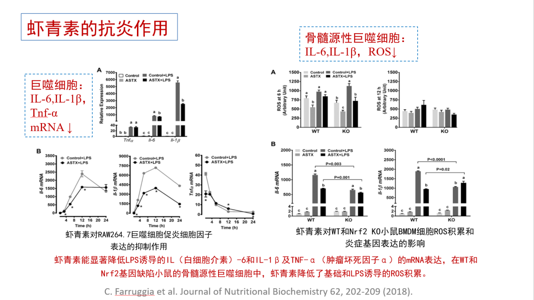 艾诗特3499拉斯维加斯 艾诗特3499拉斯维加斯