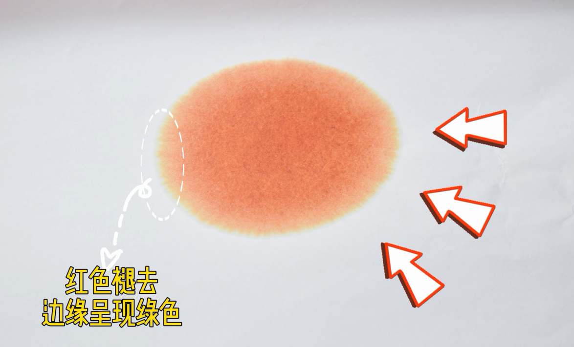 艾诗特3499拉斯维加斯