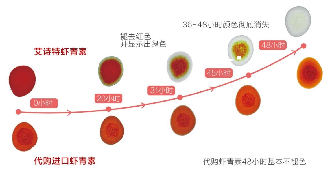艾诗特3499拉斯维加斯