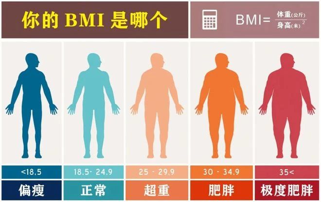 艾诗特3499拉斯维加斯