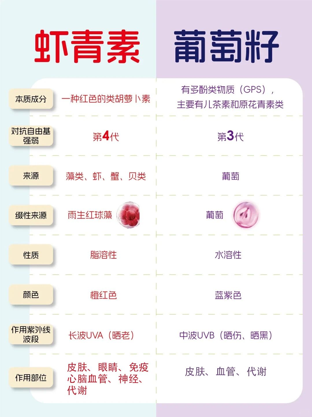 艾诗特3499拉斯维加斯