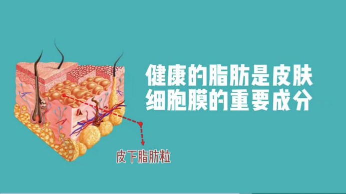 艾诗特3499拉斯维加斯