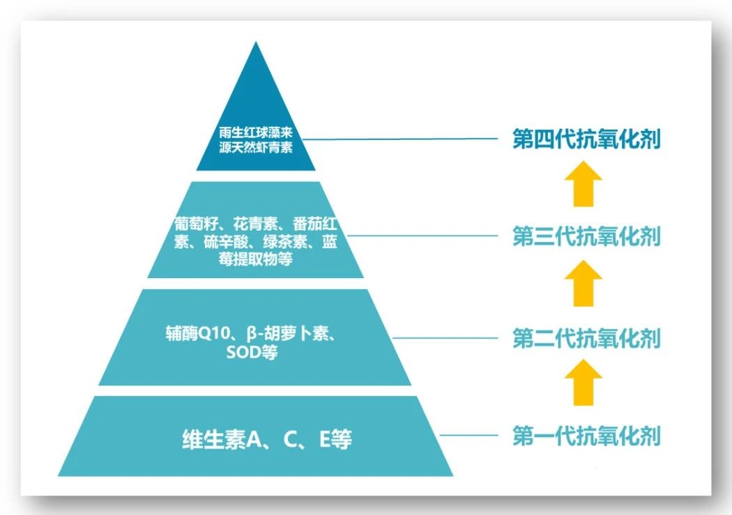 艾诗特3499拉斯维加斯