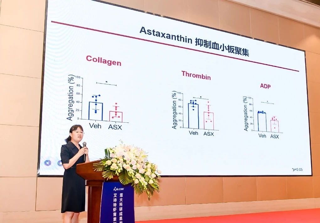 艾诗特3499拉斯维加斯