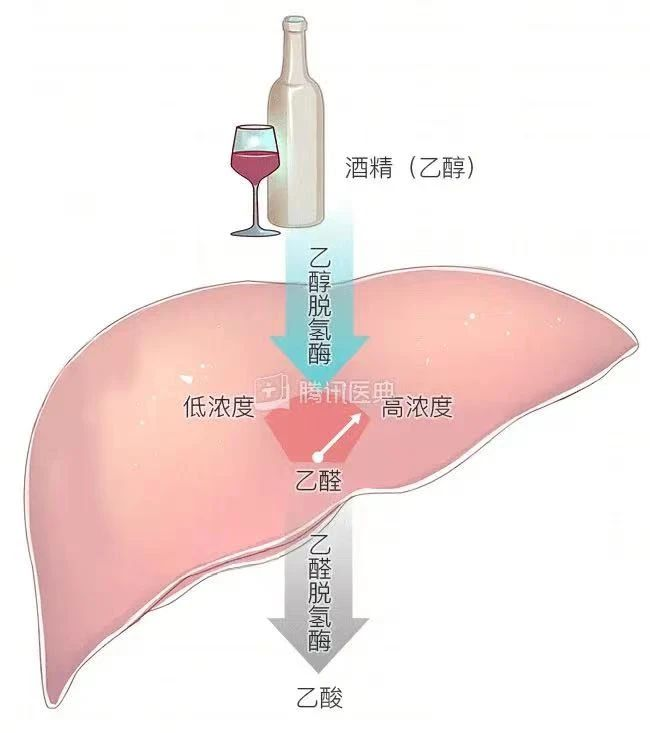艾诗特3499拉斯维加斯 艾诗特3499拉斯维加斯