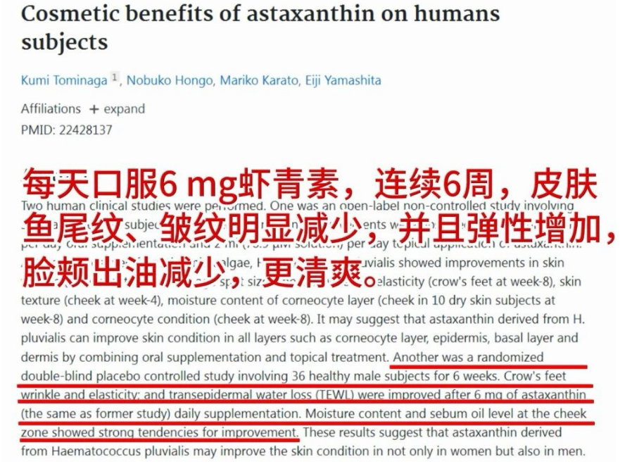 艾诗特3499拉斯维加斯