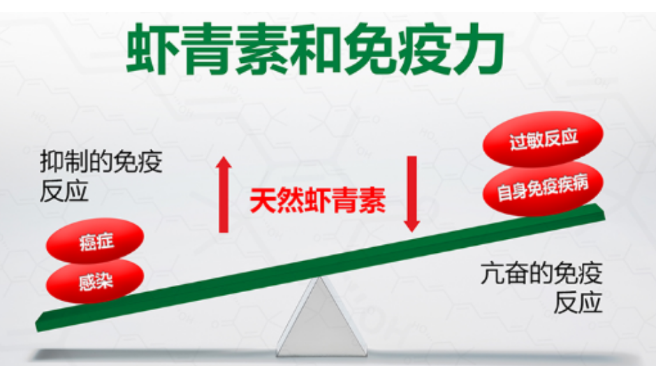 艾诗特3499拉斯维加斯