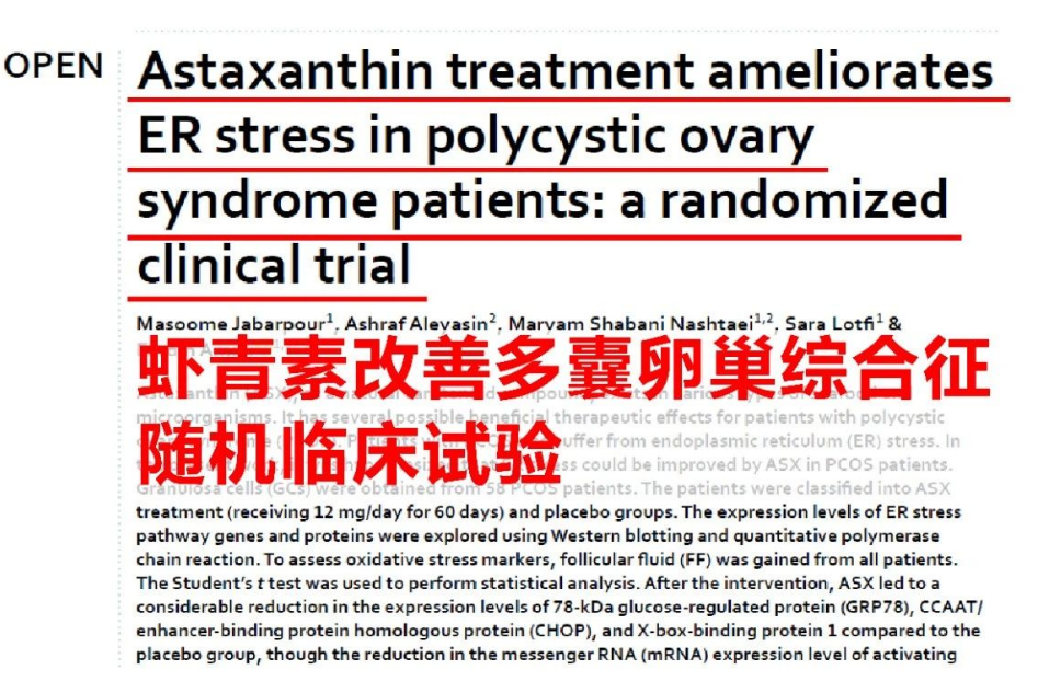 艾诗特3499拉斯维加斯