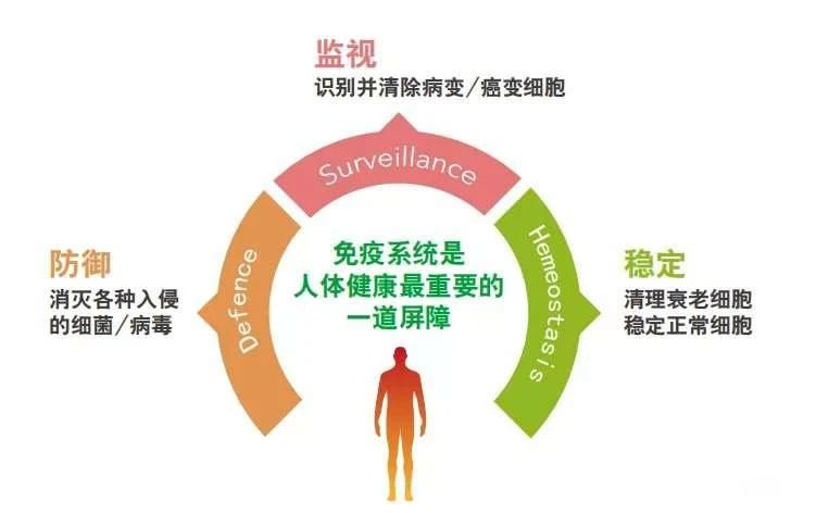 艾诗特3499拉斯维加斯