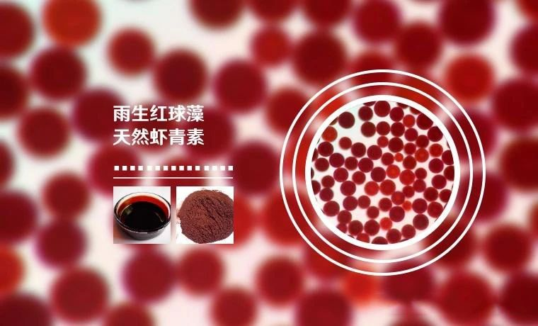 艾诗特3499拉斯维加斯