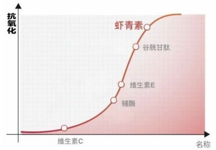 艾诗特3499拉斯维加斯