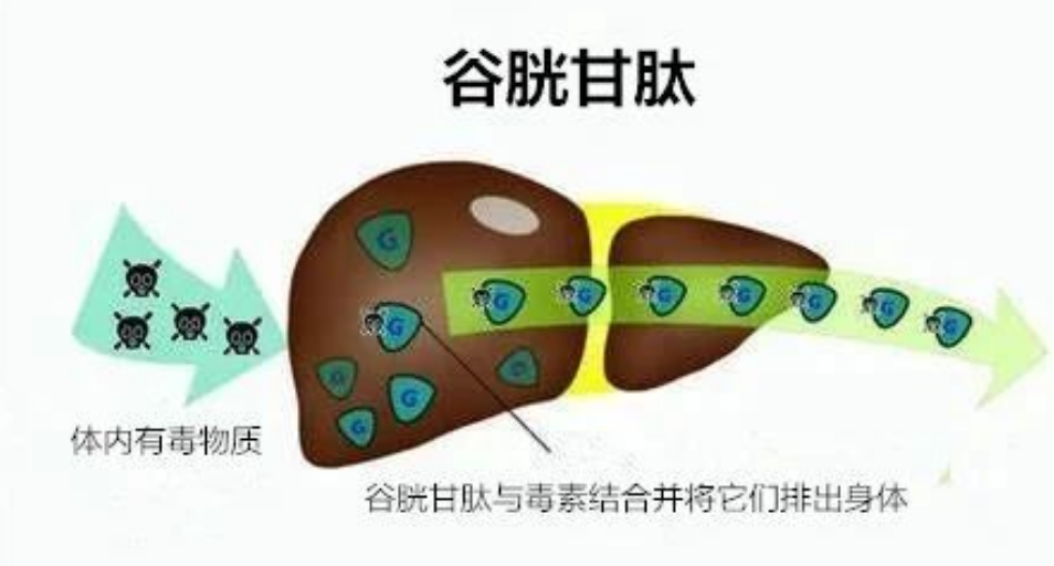 艾诗特3499拉斯维加斯