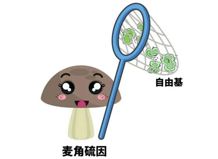艾诗特3499拉斯维加斯