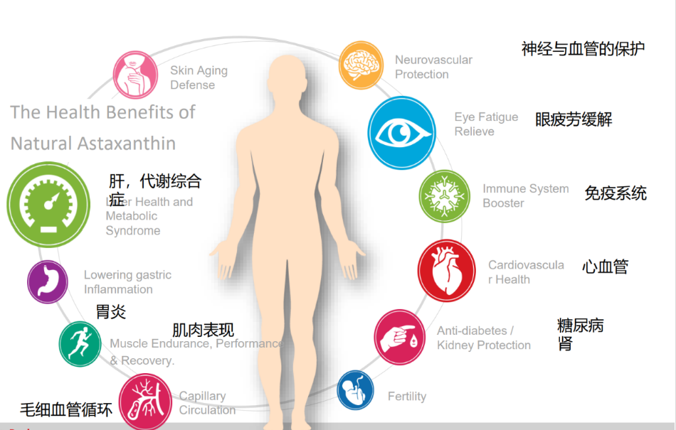 艾诗特3499拉斯维加斯