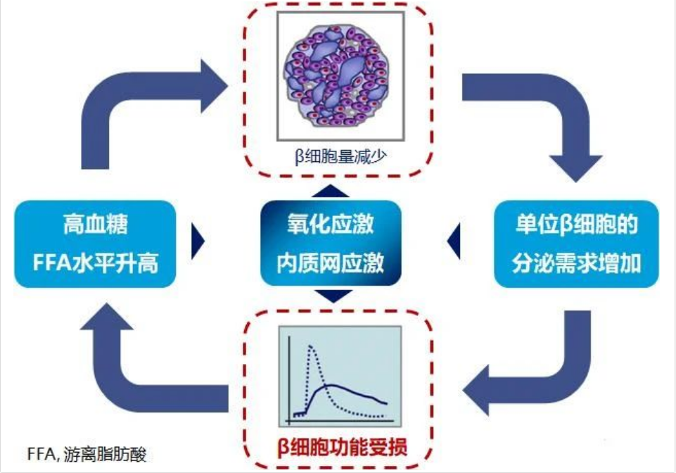 艾诗特3499拉斯维加斯