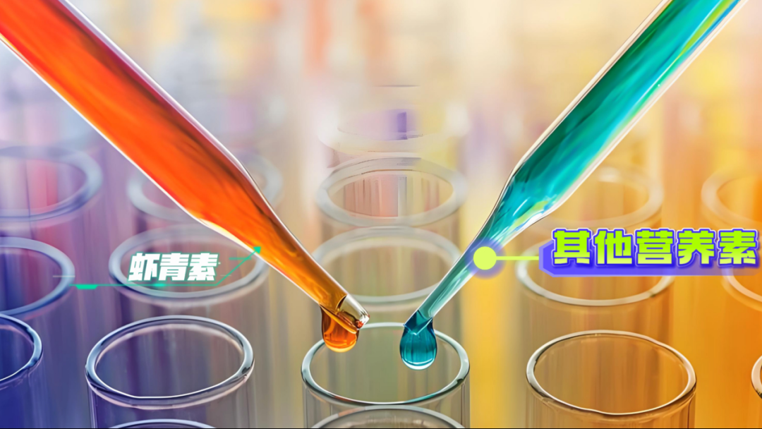 艾诗特3499拉斯维加斯